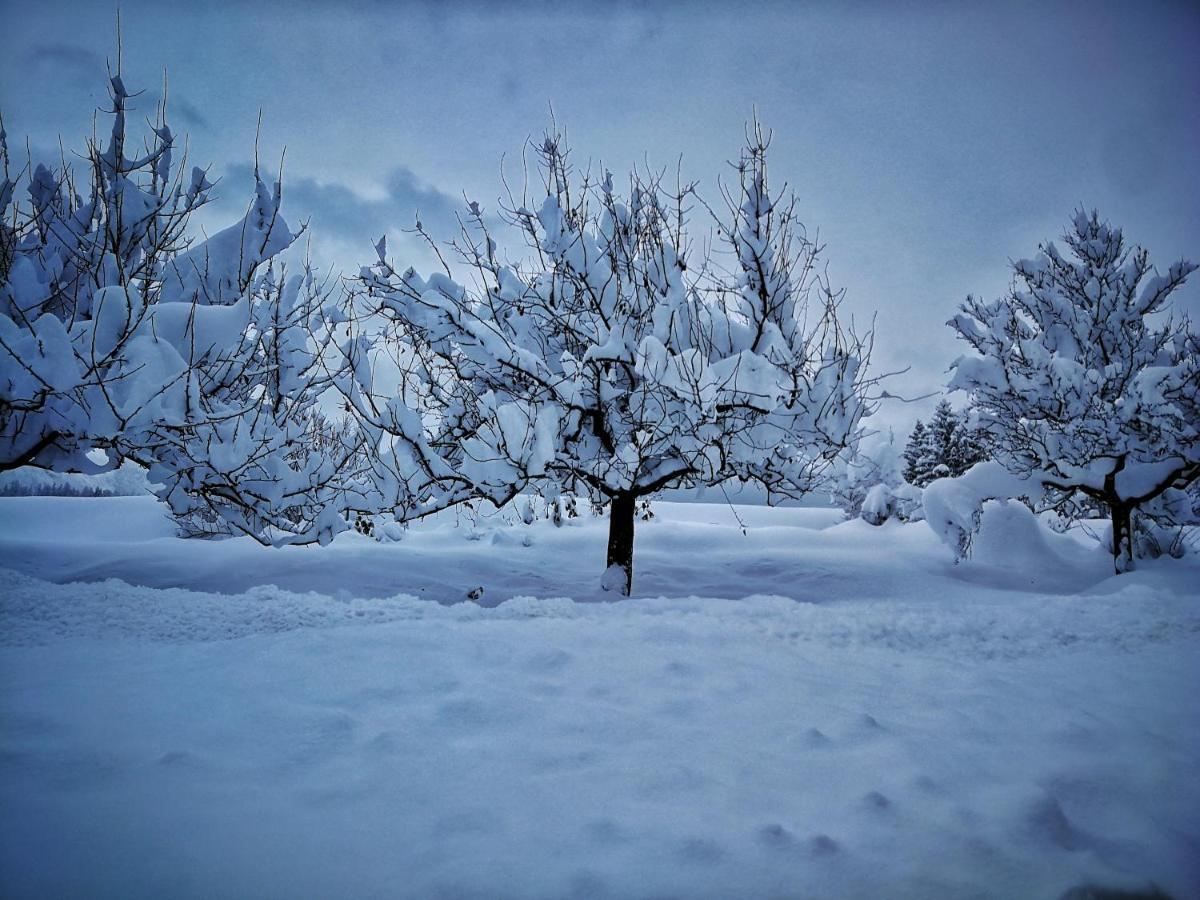 Brunnematta Daire Ernen Dış mekan fotoğraf